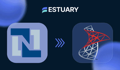 NetSuite to SQL Server: 2 Efficient Data Integration Methods